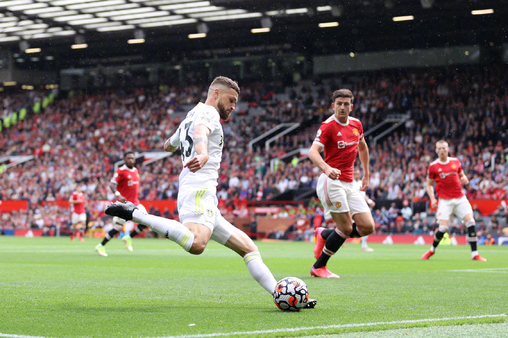 己队球员的 己队球员的